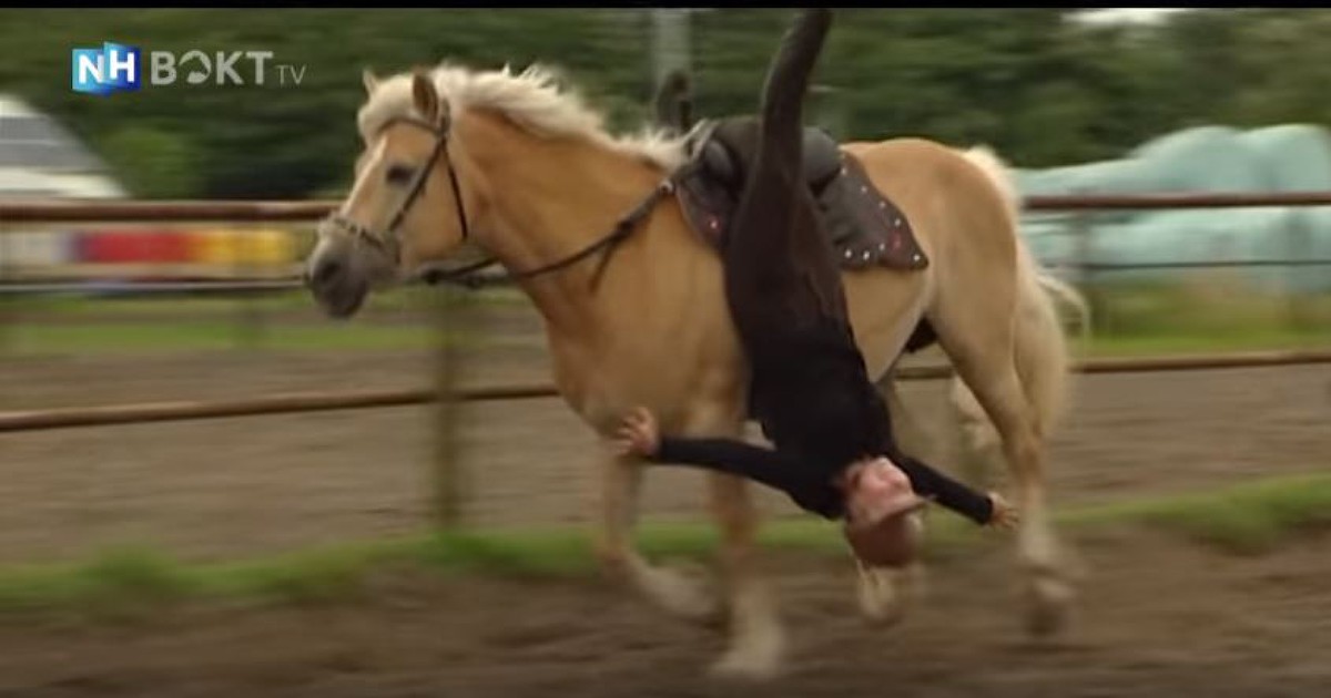 NH Bokt: Zo hang je ondersteboven aan een paard - NH Nieuws